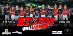 4 x 8 Team Banner 6U FIAA Storm