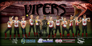 4x8-argyle-vipers