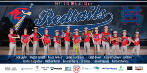 4x8-redtails-11u